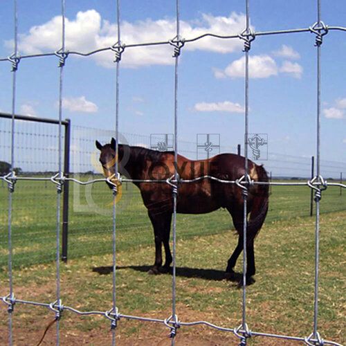 Double Wire Panel Fence