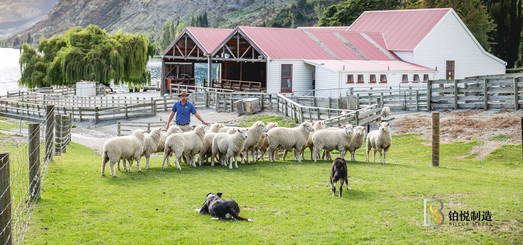High Tensile Steel Fence for sheep/cattle/deer/pig/farm