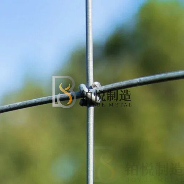 Horse Fence
