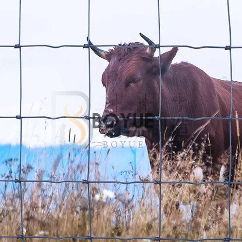 Hinge Joint Knot Fence(图8)